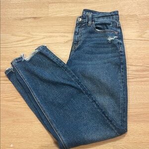 American Eagle Outfitters Curvy Straight Jeans